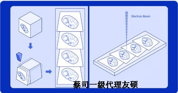 厦门蔡司厦门扫描电镜