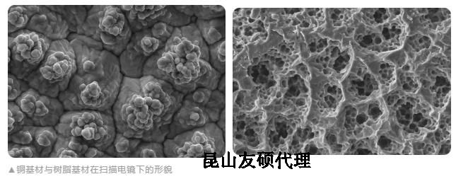 厦门蔡司厦门扫描电镜